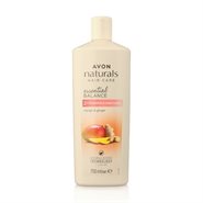 2 in 1 Shampoo e Balsamo al Mango e Zenzero Naturals